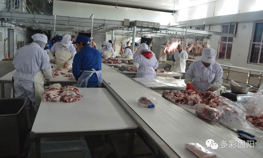 1113107612_14150708335521n.jpg 1113107612_14150708335521n.jpg