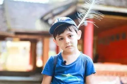 娱乐节目停播 娱乐节目停播