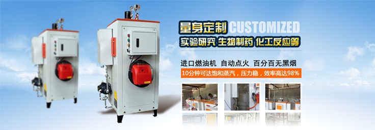 全自动燃油蒸汽发生器 全自动燃油蒸汽发生器