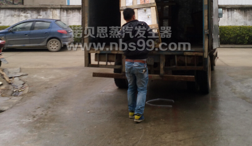 机械包装蒸汽发生器 机械包装蒸汽发生器