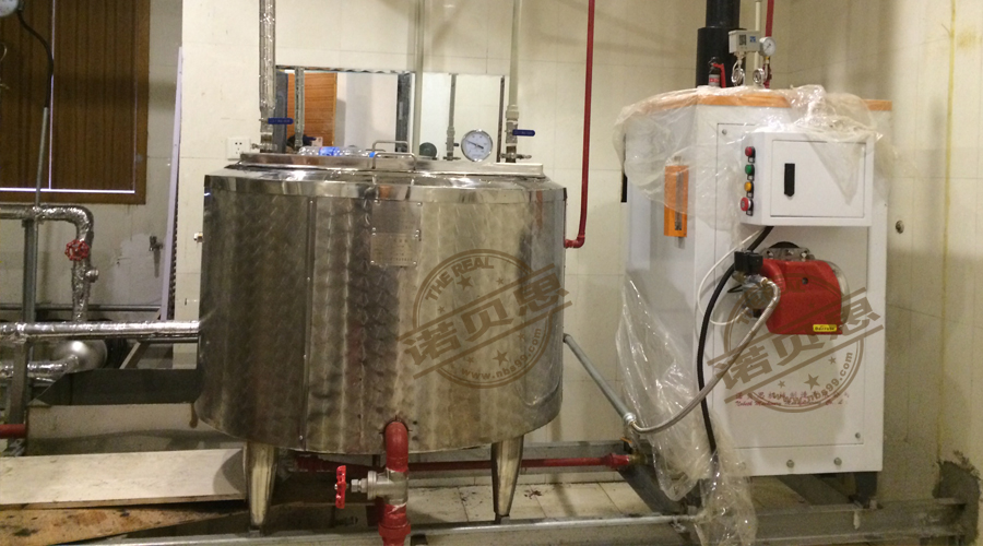 新加坡蒸汽发生器 新加坡蒸汽发生器