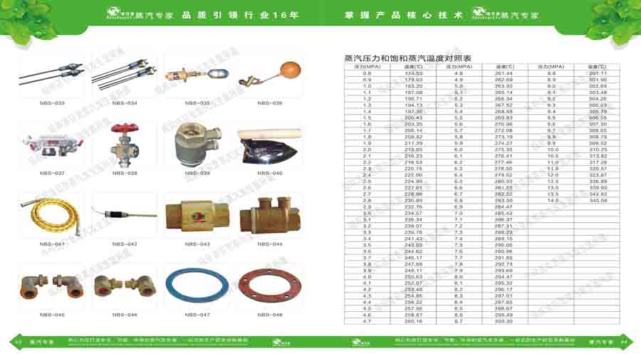 黄瓜成视频人APP蒸汽发生器电子宣传册
