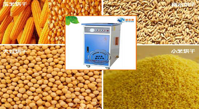 粮食烘干用蒸汽发生器 粮食烘干用蒸汽发生器