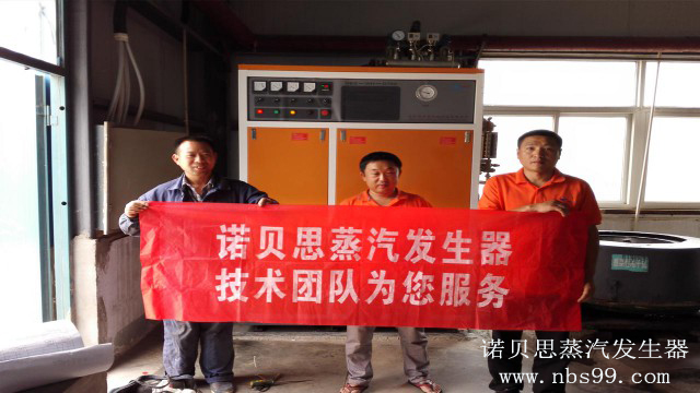 高压蒸汽发生器 高压蒸汽发生器