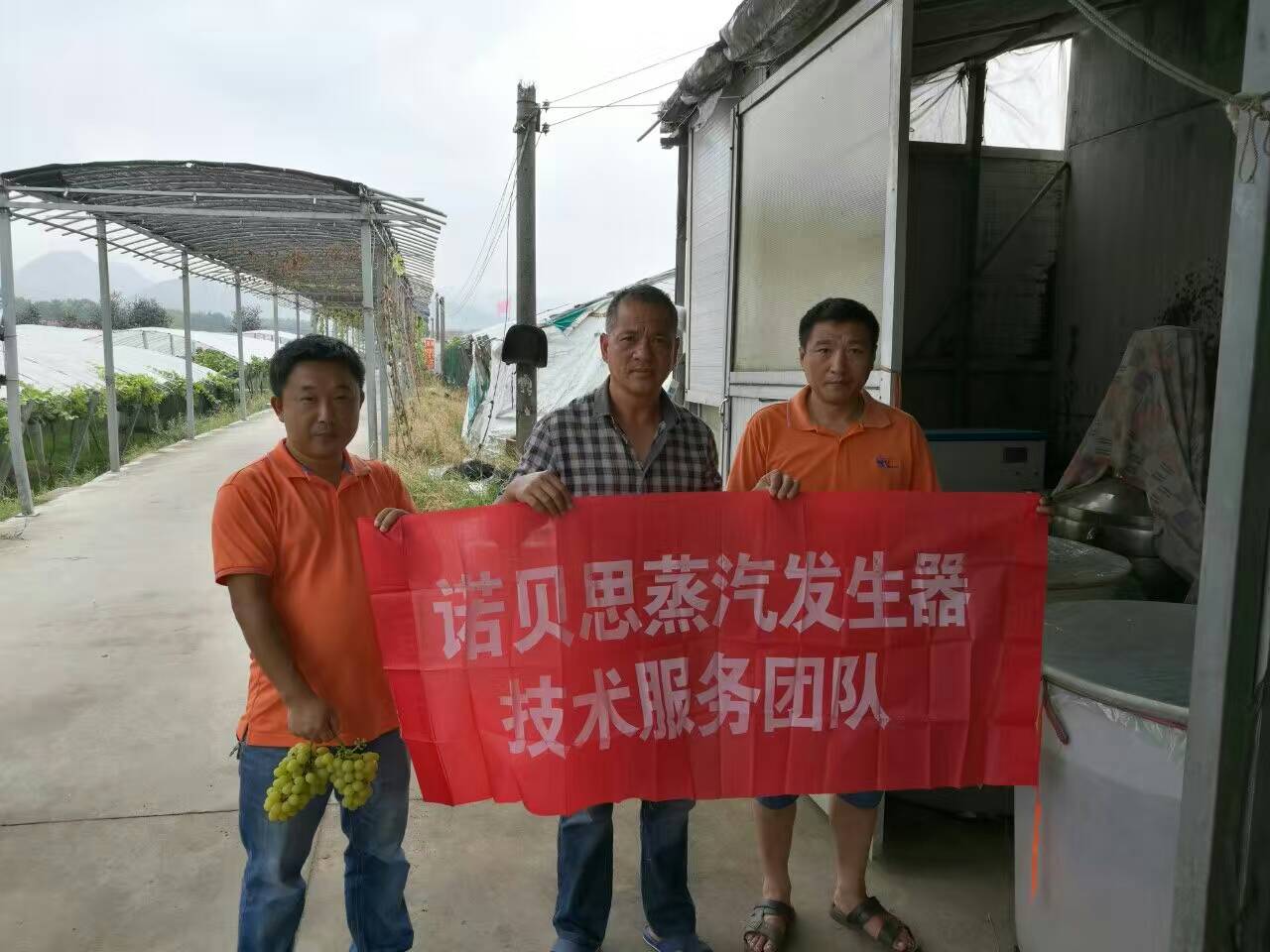 酿酒用黄瓜视频黄色下载