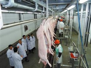 屠宰场烧水用黄瓜视频黄色下载