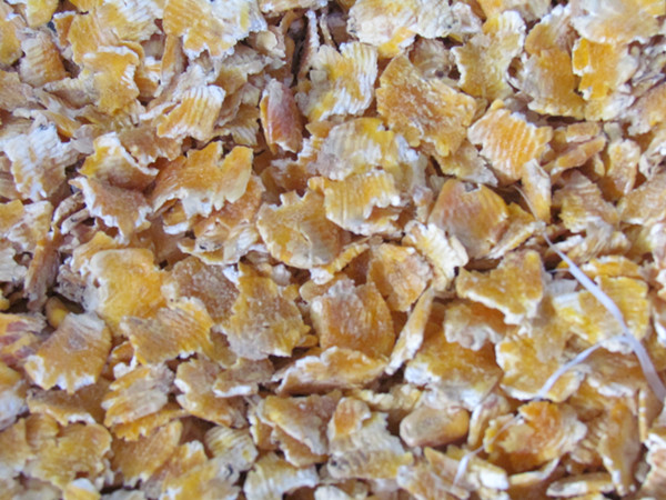 蒸汽压片配套黄瓜视频黄色下载