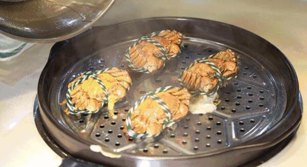 餐饮32kg黄瓜视频免费在线