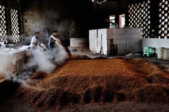 酿酒蒸汽发生器