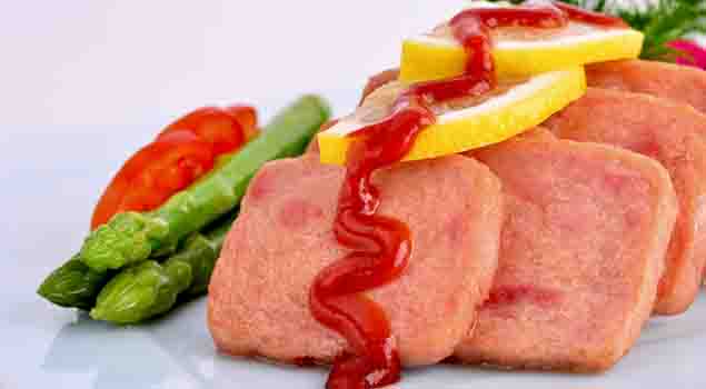 肉制品加工蒸汽发生器