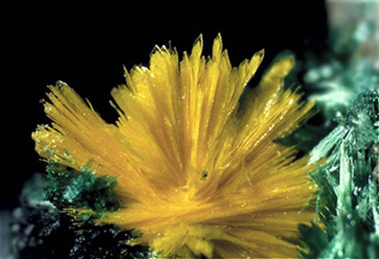 奇石养护蒸汽发生器