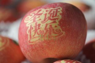 黄瓜成视频人APP元旦