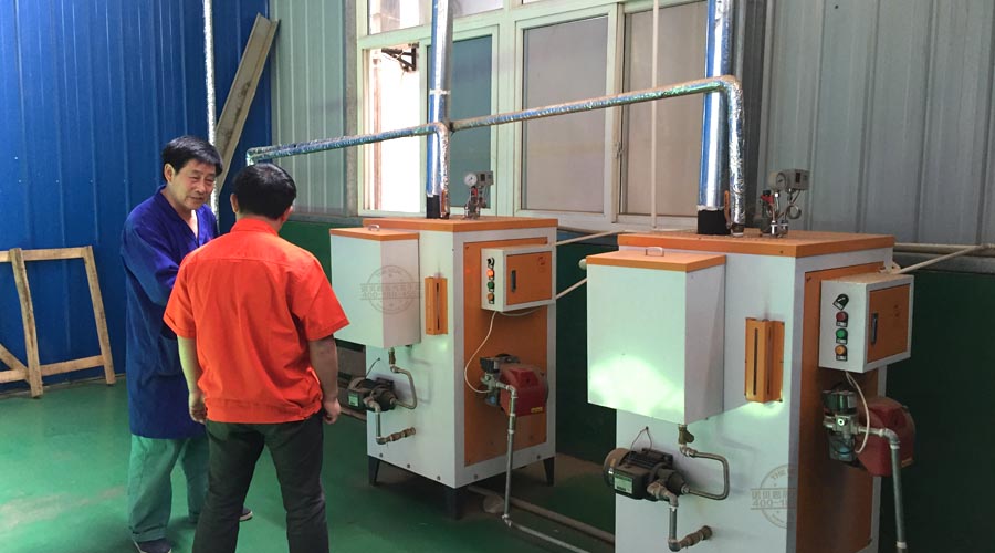 黄瓜成视频人APP蒸汽发生器