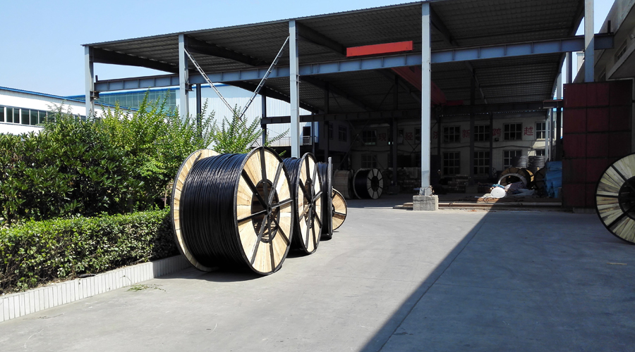 黄瓜成视频人APP蒸汽发生器