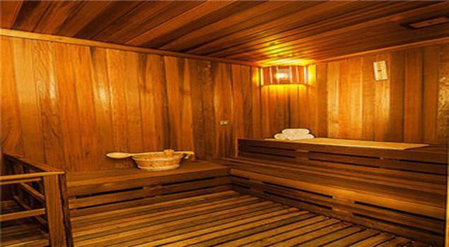 蒸汽桑拿蒸汽发生器 蒸汽桑拿蒸汽发生器