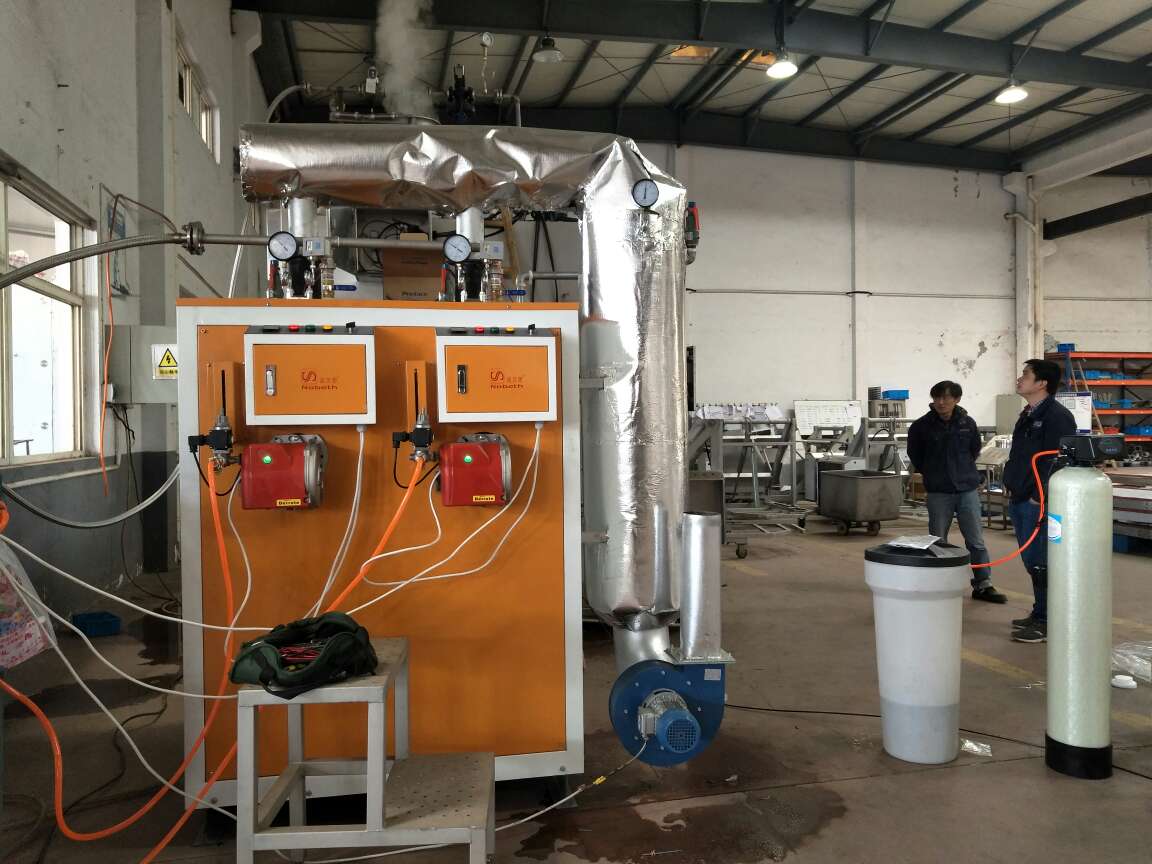 燃气蒸汽锅炉 燃气蒸汽锅炉