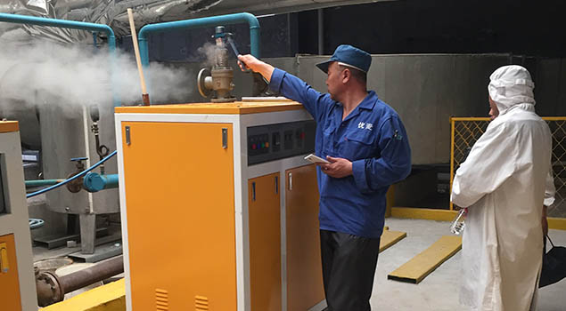 蒸汽发生器使用 蒸汽发生器使用