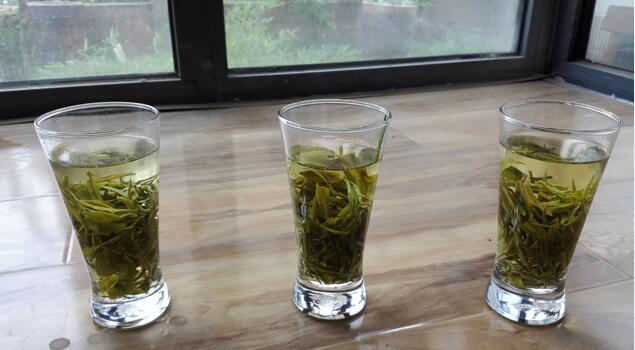 蒸汽发生器蒸茶