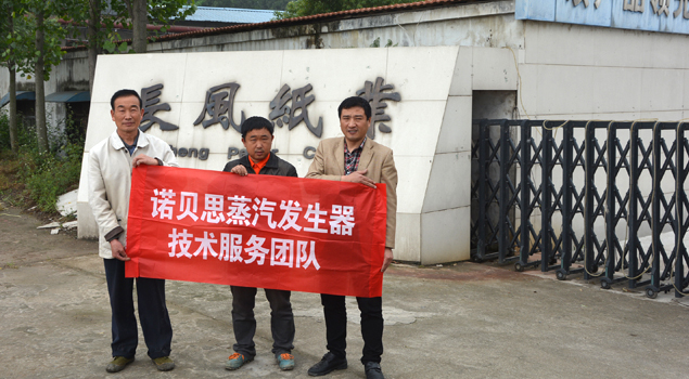 长风纸业蒸汽发生器 长风纸业蒸汽发生器