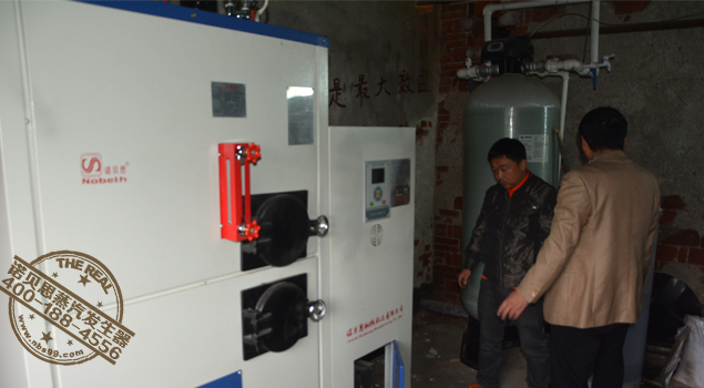 造纸用生物质蒸汽发生器 造纸用生物质蒸汽发生器