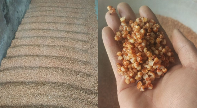 酿酒蒸汽发生器 酿酒蒸汽发生器