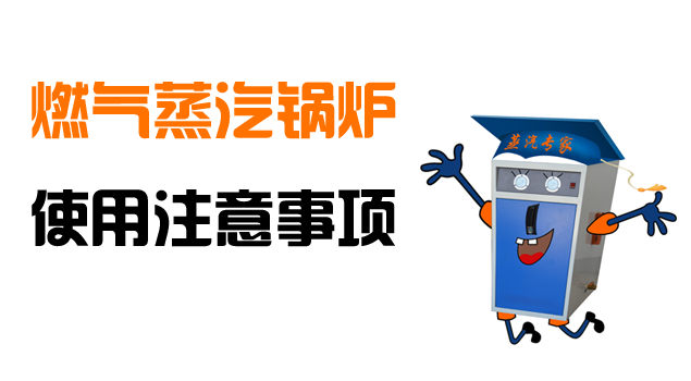 燃气蒸汽锅炉 燃气蒸汽锅炉