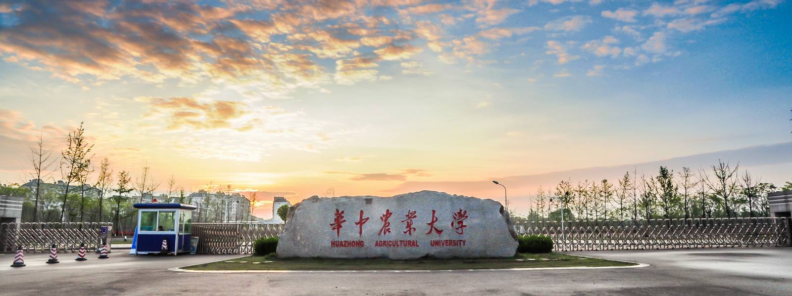 实验研究蒸汽发生器 实验研究蒸汽发生器