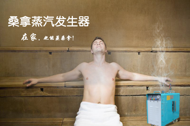 小型桑拿蒸汽发生器 小型桑拿蒸汽发生器