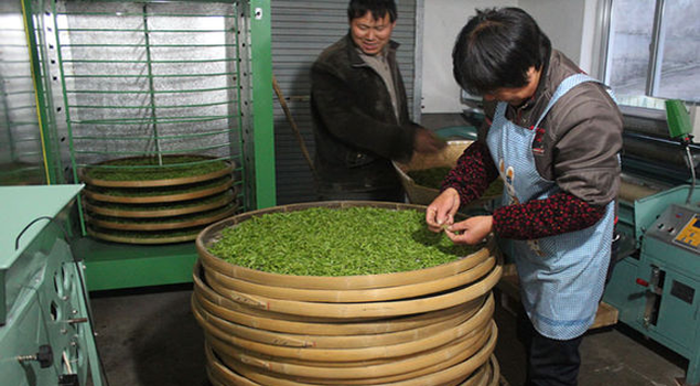 茶叶加工蒸汽发生器 茶叶加工蒸汽发生器