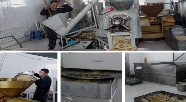 豆制品加工蒸汽发生器 豆制品加工蒸汽发生器