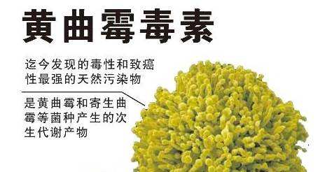 茶叶加工蒸汽发生器 茶叶加工蒸汽发生器