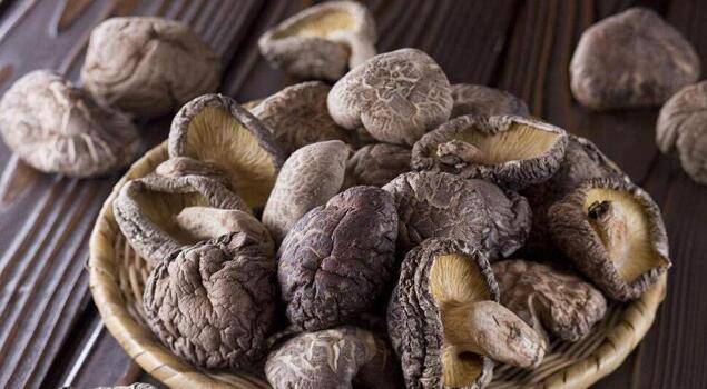 黄瓜成视频人APP蒸汽发生器