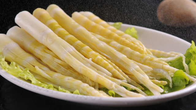 黄瓜视频免费在线