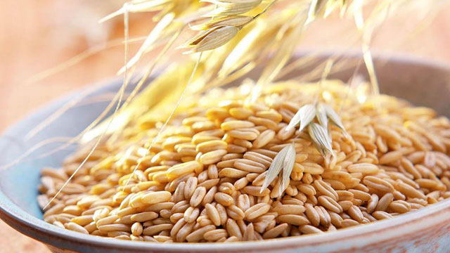 燕麦加工蒸汽发生器 燕麦加工蒸汽发生器