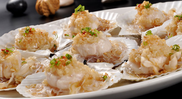 食品加工专用黄瓜视频免费在线