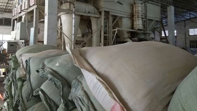 饲料加工专用黄瓜视频免费在线