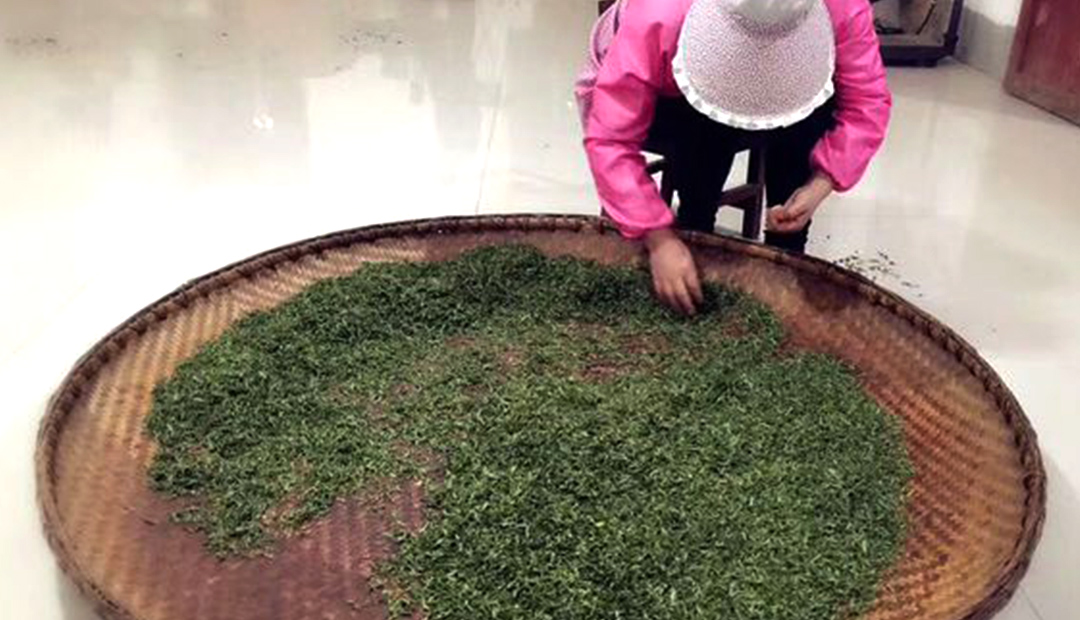 蒸汽发生器 蒸汽发生器