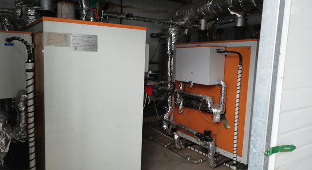 食品加工黄瓜视频免费在线