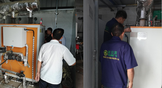 食品加工黄瓜视频免费在线