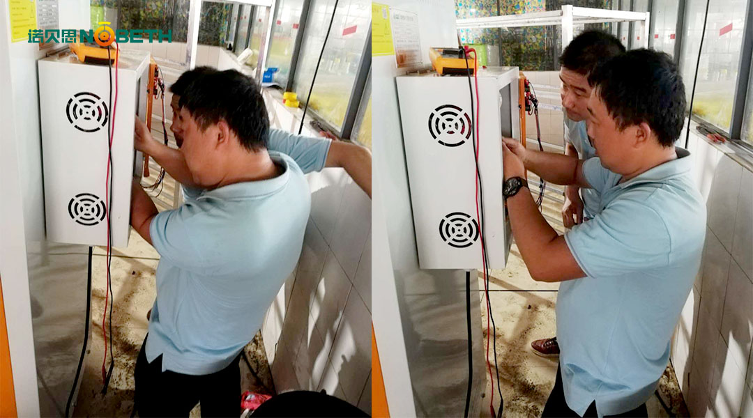 黄瓜视频免费在线