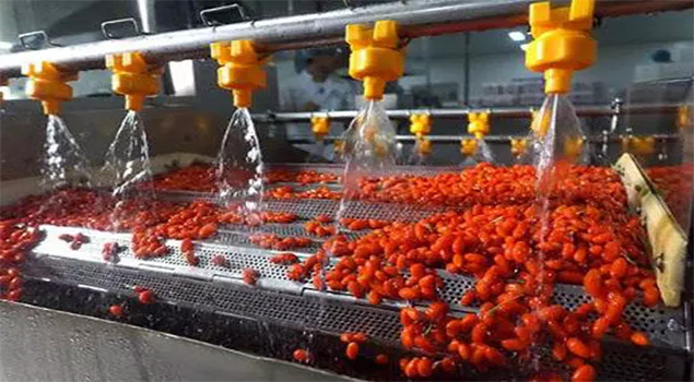 枸杞烘干蒸汽发生器 枸杞烘干蒸汽发生器