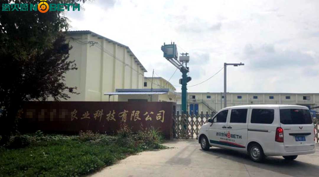 黄瓜视频免费在线