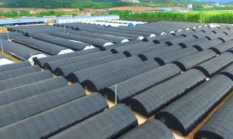 蒸汽发生器 蒸汽发生器