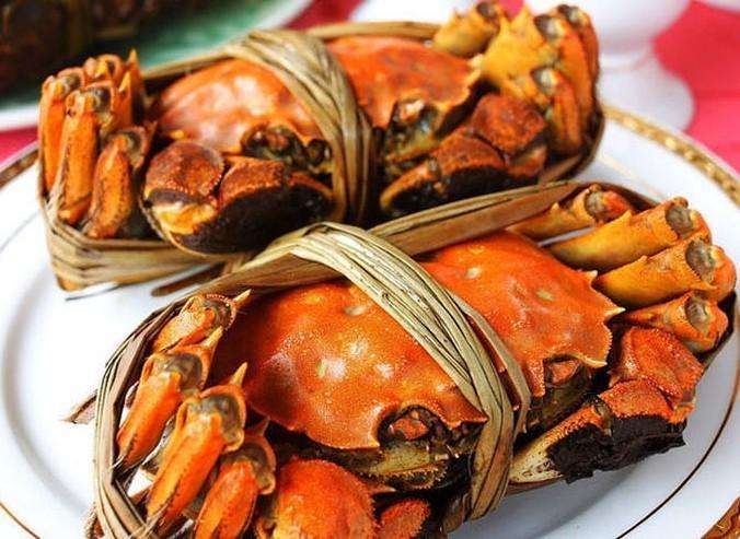 黄瓜视频免费在线