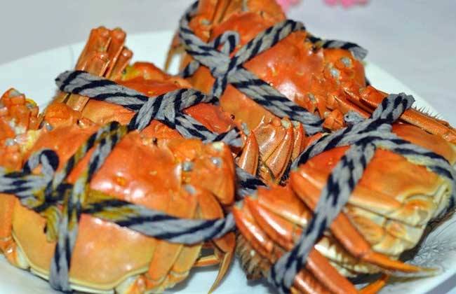 黄瓜视频免费在线