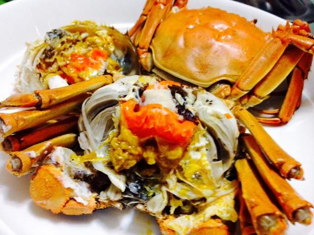 黄瓜视频免费在线