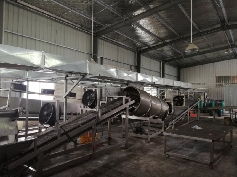 使用食品加工蒸汽发生器制作热干面高效又快捷 使用食品加工蒸汽发生器制作热干面高效又快捷