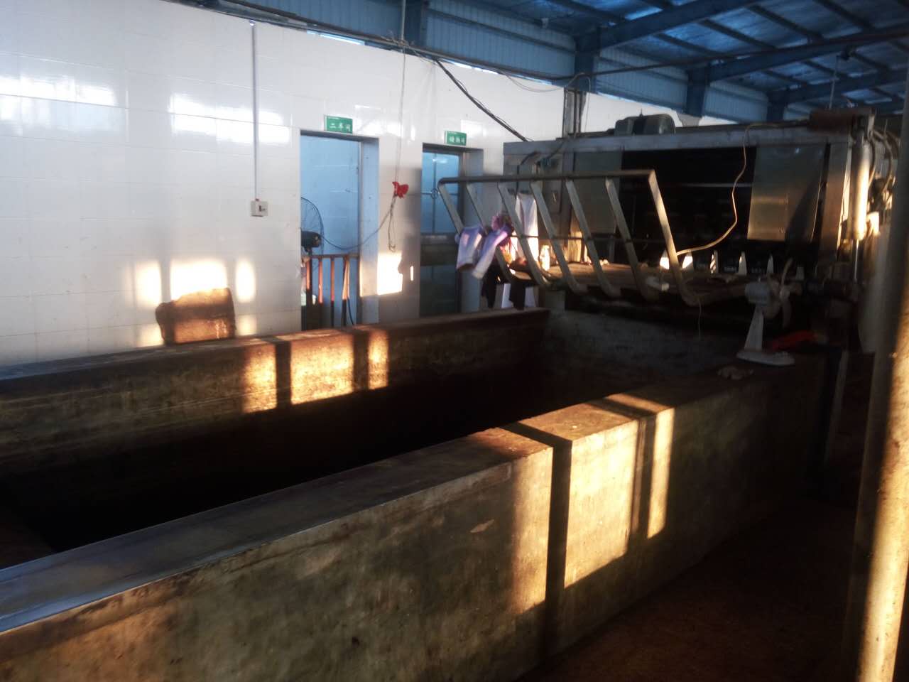 屠宰场使用黄瓜视频黄色下载消毒杀菌高效