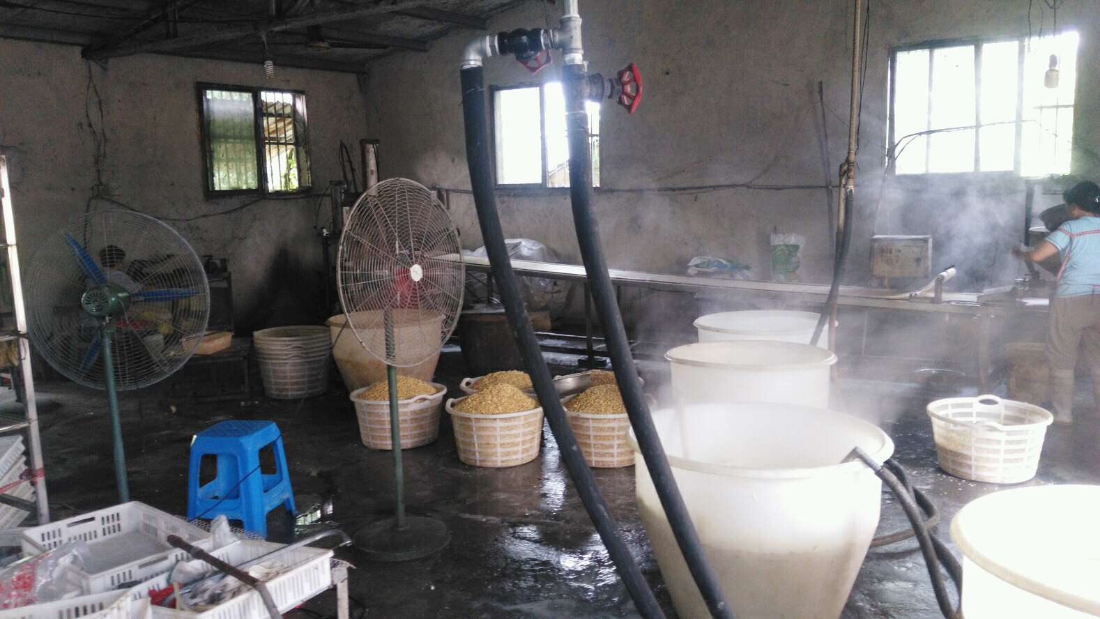 煮豆浆加工厂使用火排效果不好，换上黄瓜视频免费在线热效高，加快企业高效生产