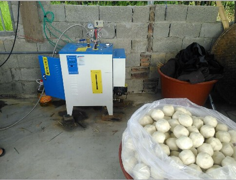 蒸包子燃煤锅炉改造电蒸汽发生器 蒸包子燃煤锅炉改造电蒸汽发生器